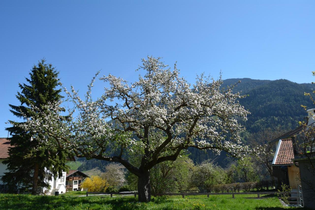 Apart Pitztalurlaub Wenns Dış mekan fotoğraf